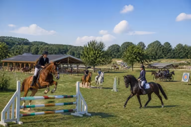 découvrez l'agenda complet des événements sportifs et loisirs équestres à fey-en-haye. ne manquez aucune compétition, spectacle ou activité autour du cheval dans la région.
