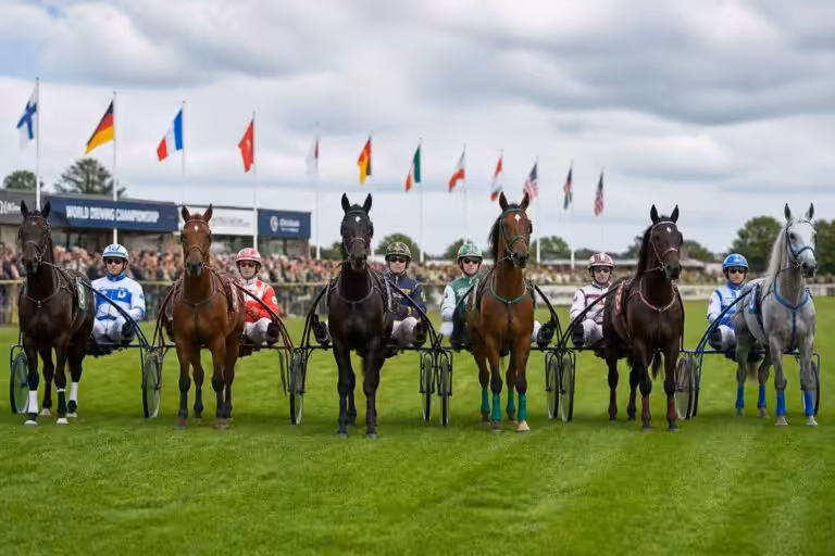 découvrez les six meneurs sélectionnés pour représenter la france au championnat mondial d'attelage, une compétition prestigieuse réunissant les meilleurs talents du sport équestre.