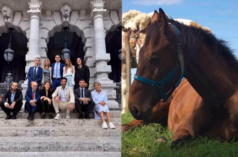 Découvrez l&rsquo;équitation sans cheval : naissance du premier club innovant à Plouider, Finistère
