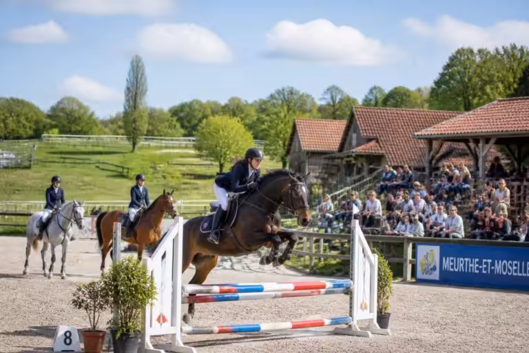 découvrez le guide complet des événements sportifs et loisirs équestres en meurthe-et-moselle. toutes les activités, compétitions et sorties pour profiter pleinement de la région.