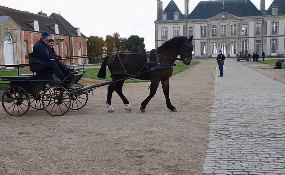 À deux pas de Rennes, Fénicat offre des cours d&rsquo;équitation en pleine nature dès l&rsquo;âge de 3 ans
