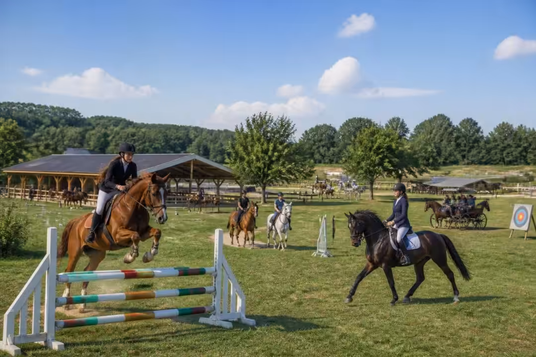 découvrez l'agenda complet des événements sportifs et loisirs équestres à fey-en-haye. ne manquez aucune compétition, spectacle ou activité autour du cheval dans la région.