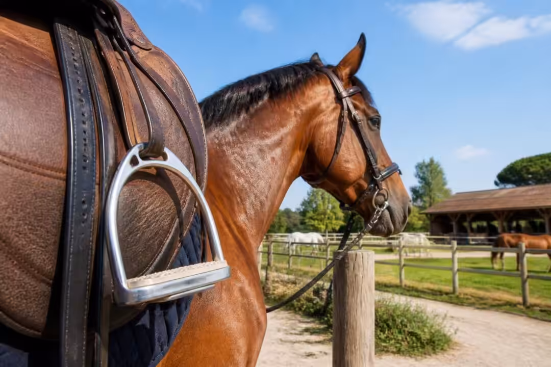 découvrez le centre équestre aux herbiers : l'étrier, un lieu dédié à l'équitation pour tous niveaux, avec des cours, des balades et des activités conviviales.